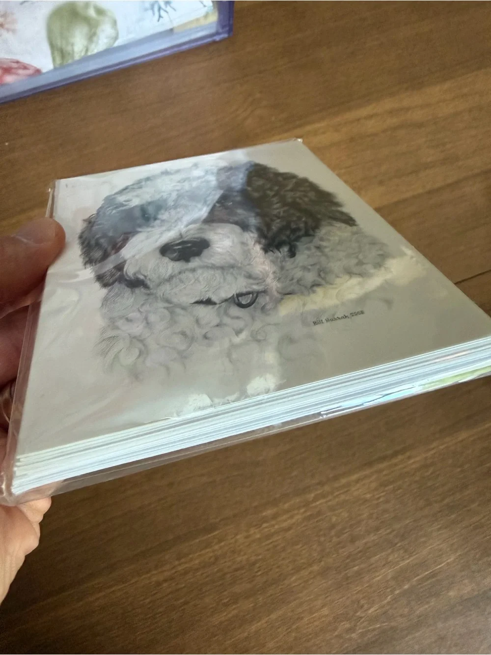 Portuguese Water Dog Note Cards (8) Fine Art Drawing